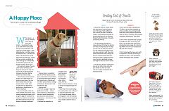 USA Today Pet Guide – A Happy Place